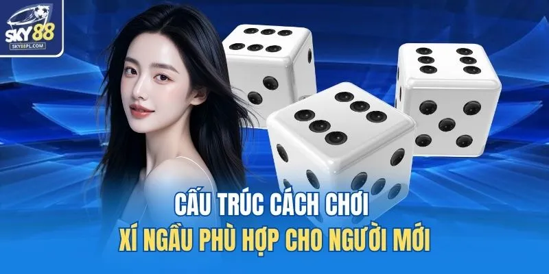 Cấu trúc cách chơi xí ngầu phù hợp cho người mới