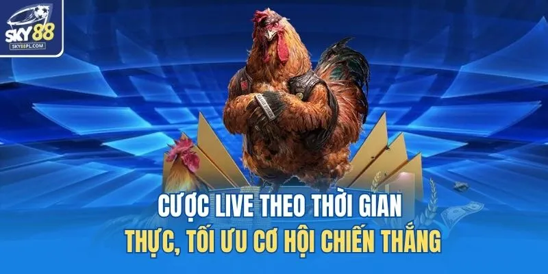 Đá Gà Cựa Sắt - Hình Thức Giải Trí Kịch Tính Nhất SKY88 4 Cược live theo thời gian thực, tối ưu cơ hội chiến thắng