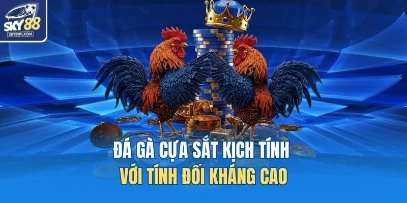 Đá Gà Cựa Sắt - Hình Thức Giải Trí Kịch Tính Nhất SKY88 2 Đá gà cựa sắt kịch tính với tính đối kháng cao