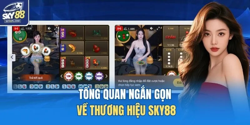 Tổng quan ngắn gọn về thương hiệu SKY88 